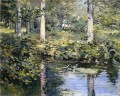 The Duck Pond impressionism landscape Theodore Robinson river